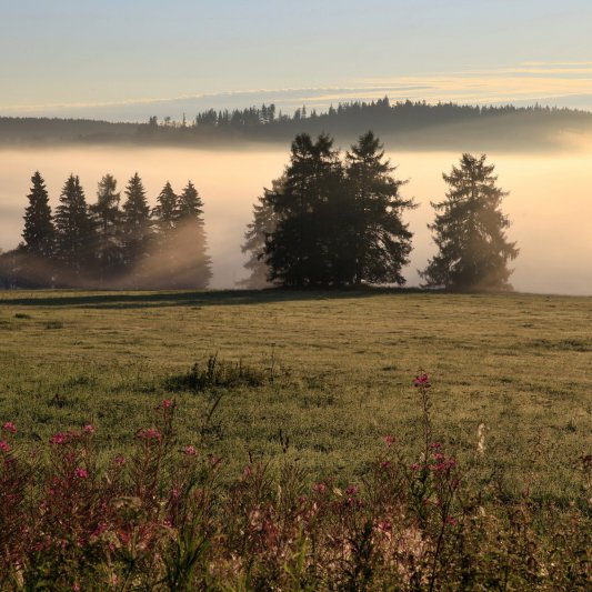 Měnič obrázků - fotografie